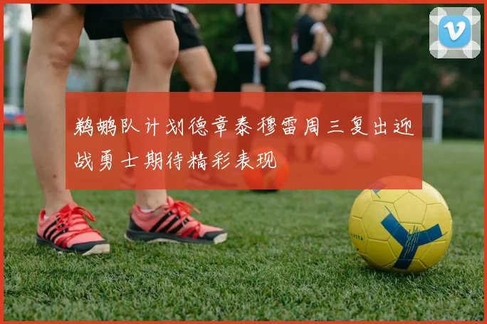 鹈鹕队计划德章泰穆雷周三复出迎战勇士期待精彩表现