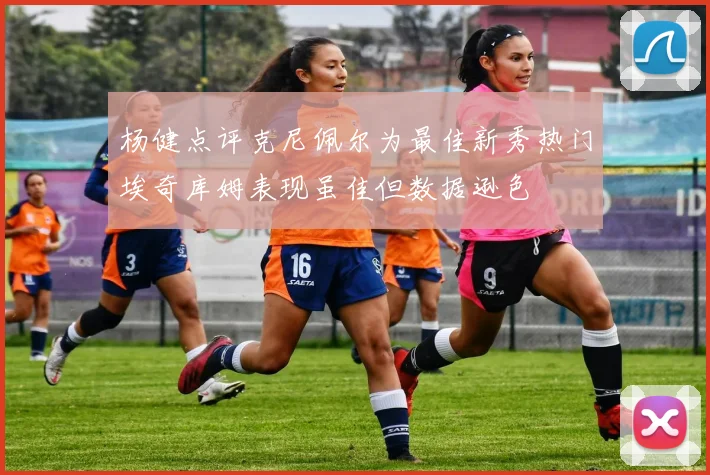 杨健点评克尼佩尔为最佳新秀热门埃奇库姆表现虽佳但数据逊色